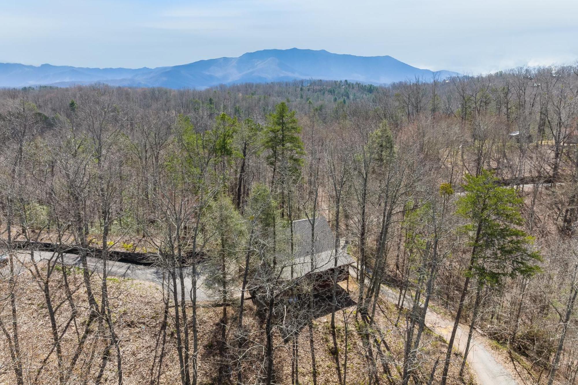 Dudley I By Avantstay Cosy Cabin W Hot Tub Incredible Views Pigeon Forge Eksteriør bilde
